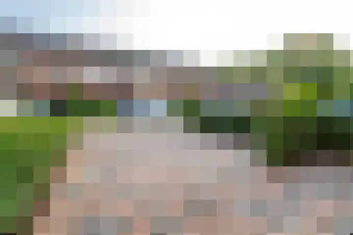 Ringslangweide 32 Nieuwegein thumbnail 74
