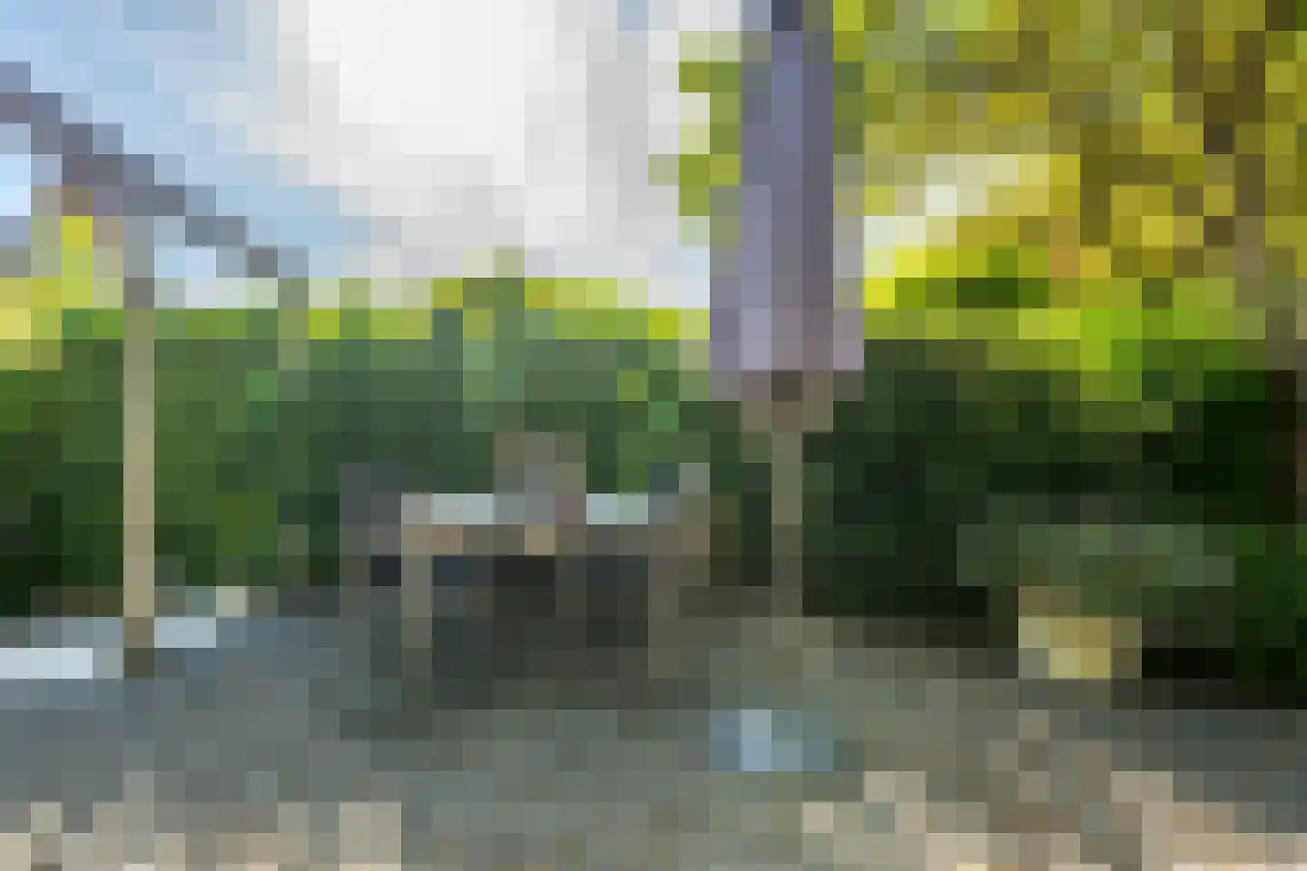 Ringslangweide 49 Nieuwegein thumbnail 53