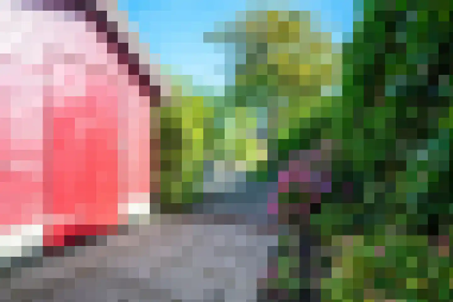 Ringslangweide 49 Nieuwegein thumbnail 56