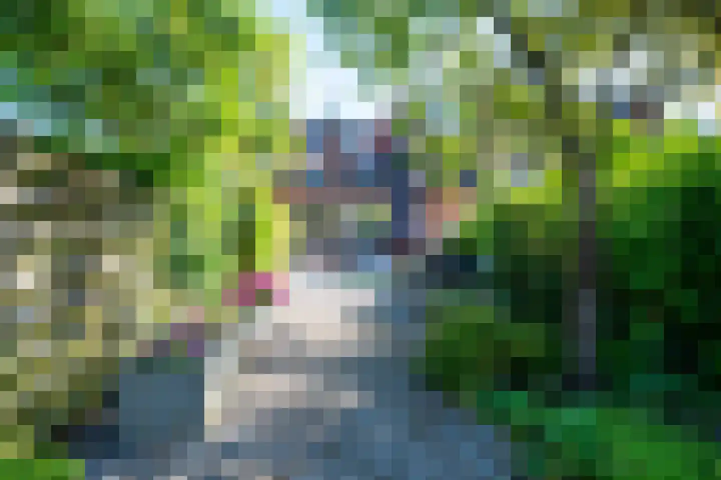 Ringslangweide 49 Nieuwegein thumbnail 57