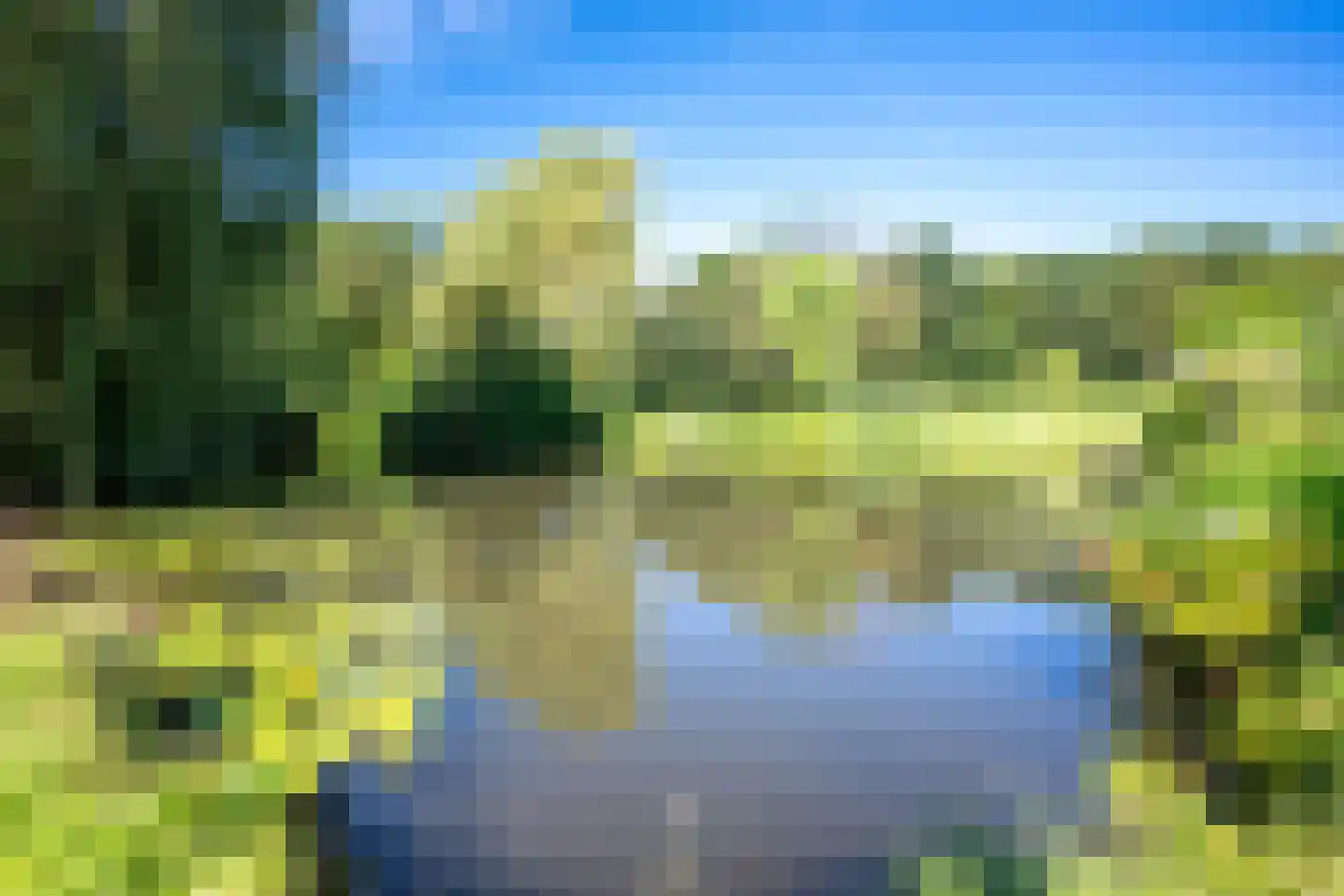 Ringslangweide 49 Nieuwegein thumbnail 61