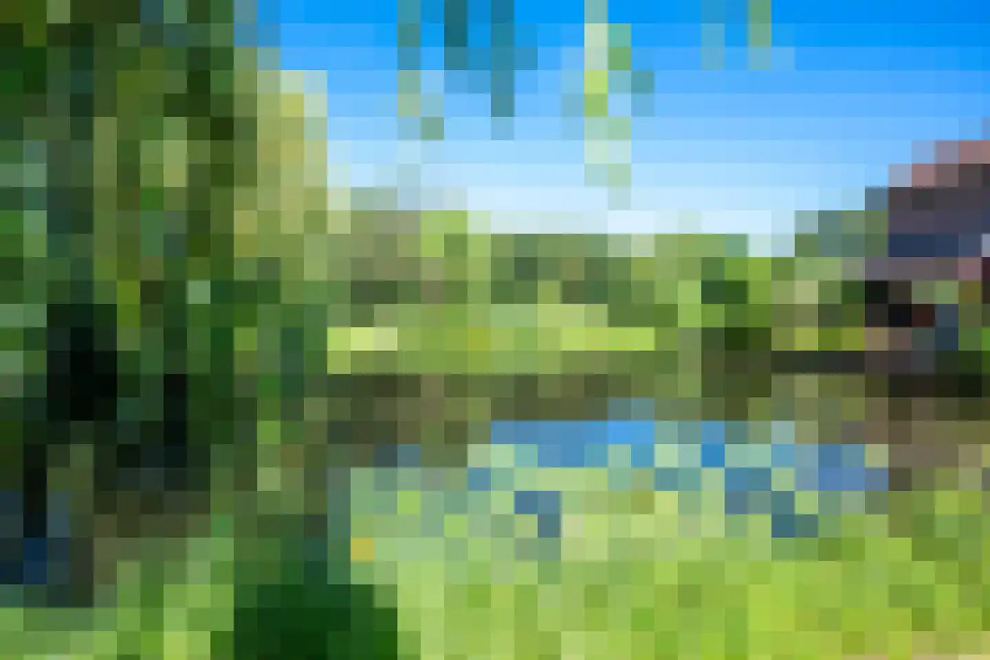 Ringslangweide 49 Nieuwegein thumbnail 62
