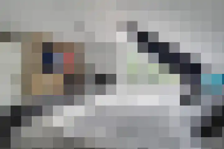 Ringslangweide 9 Nieuwegein thumbnail 28
