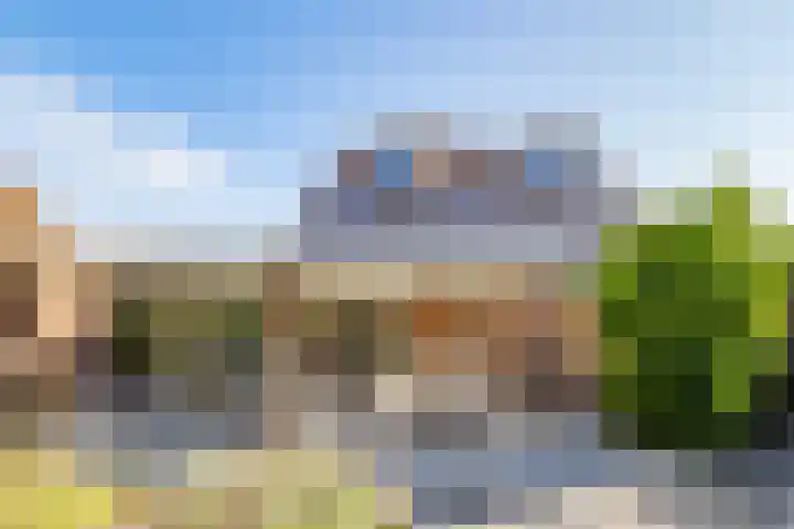 Ringslangweide 9 Nieuwegein thumbnail 51