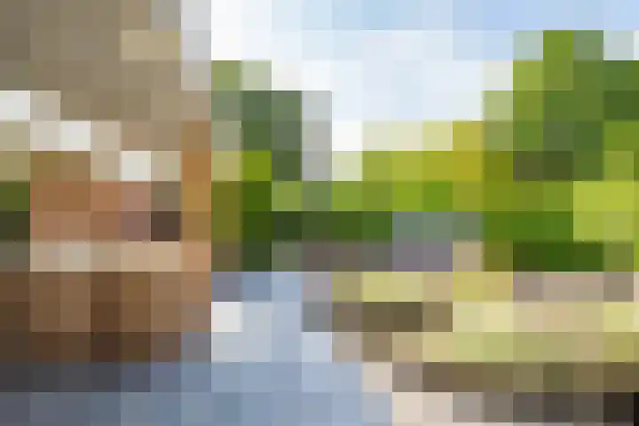 Ringslangweide 9 Nieuwegein thumbnail 56