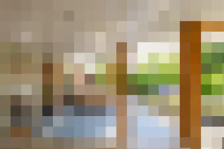 Ringslangweide 9 Nieuwegein thumbnail 58