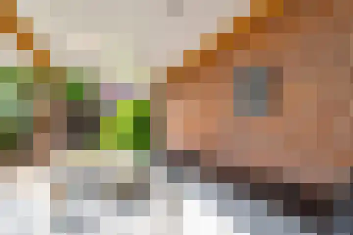 Ringslangweide 9 Nieuwegein thumbnail 61