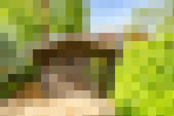 Ringslangweide 9 Nieuwegein thumbnail 62