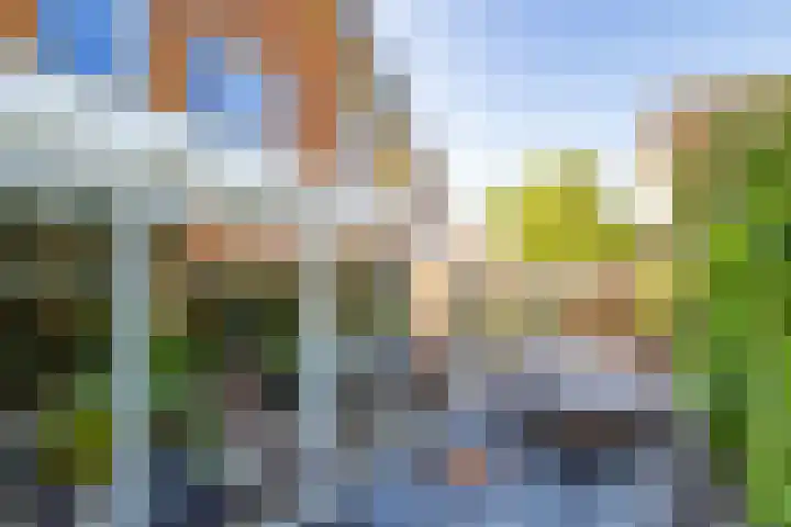 Ringslangweide 9 Nieuwegein thumbnail 63