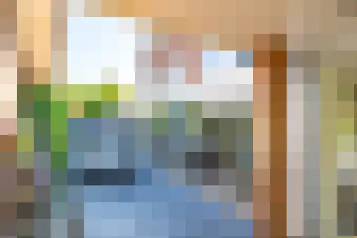Ringslangweide 9 Nieuwegein thumbnail 64