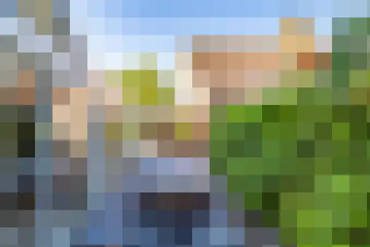Ringslangweide 9 Nieuwegein thumbnail 65