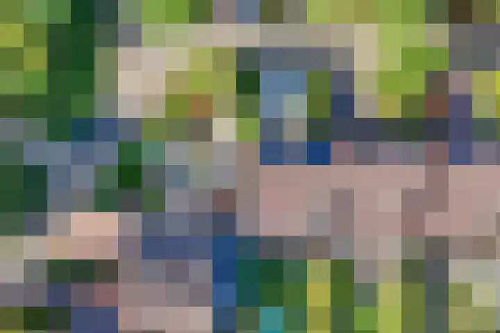 Ringslangweide 9 Nieuwegein thumbnail 69