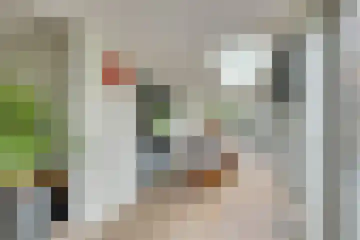 Ringslangweide 9 Nieuwegein thumbnail 9
