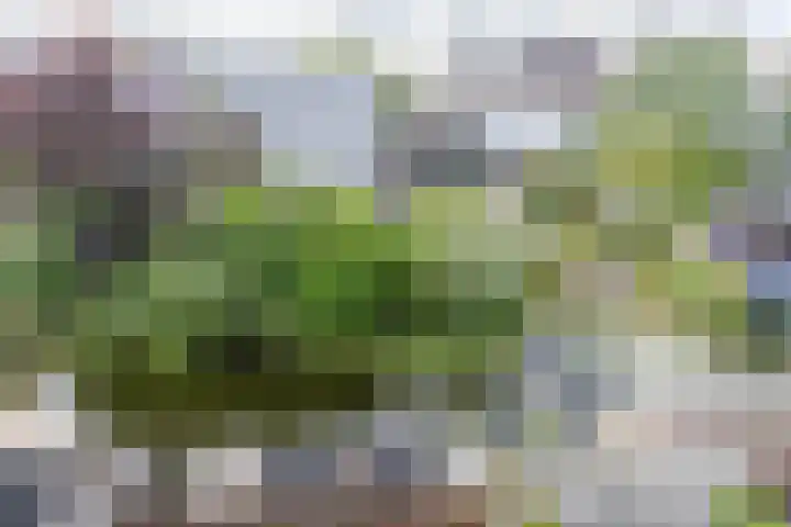 Ringslootpad 47 Nieuwkoop thumbnail 28