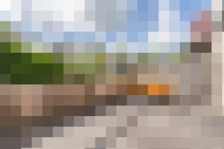 Ringslootpad 47 Nieuwkoop thumbnail 8