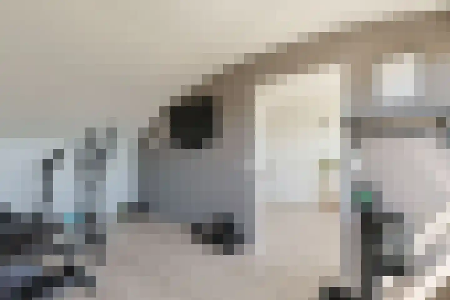 Ringslootpad 49 Nieuwkoop thumbnail 38