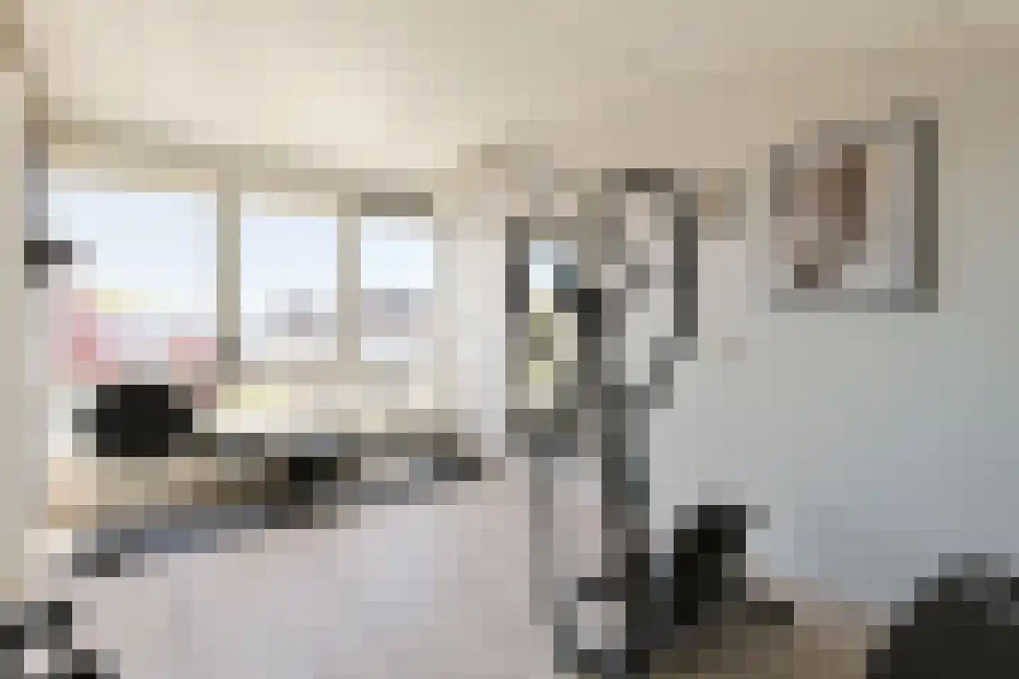 Ringslootpad 49 Nieuwkoop thumbnail 39