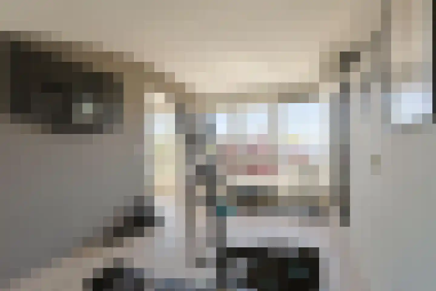 Ringslootpad 49 Nieuwkoop thumbnail 40