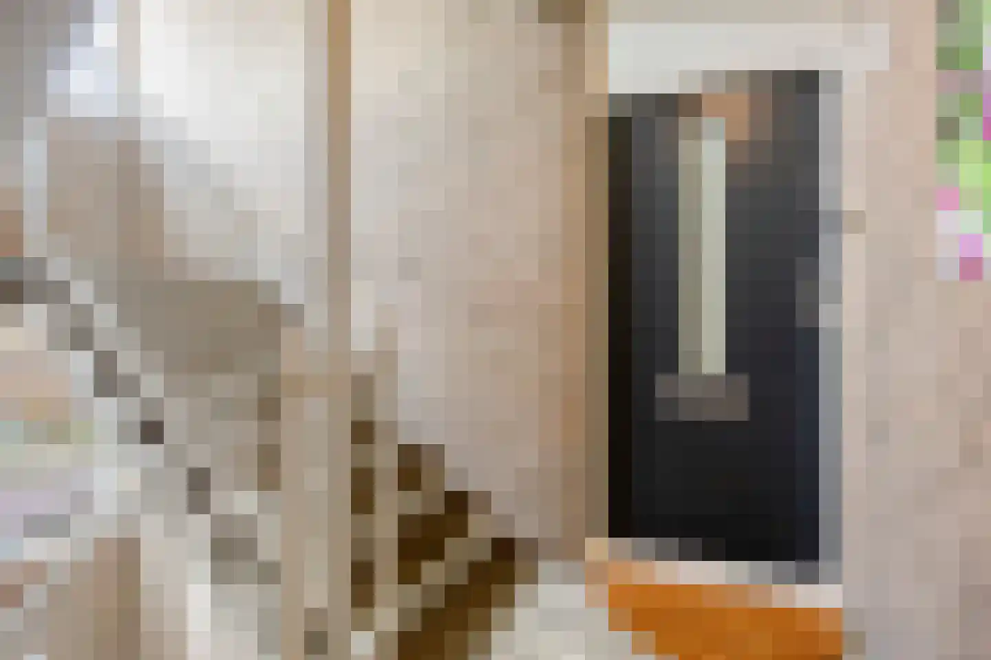 Ringspoor 113 Capelle aan den IJssel thumbnail 11