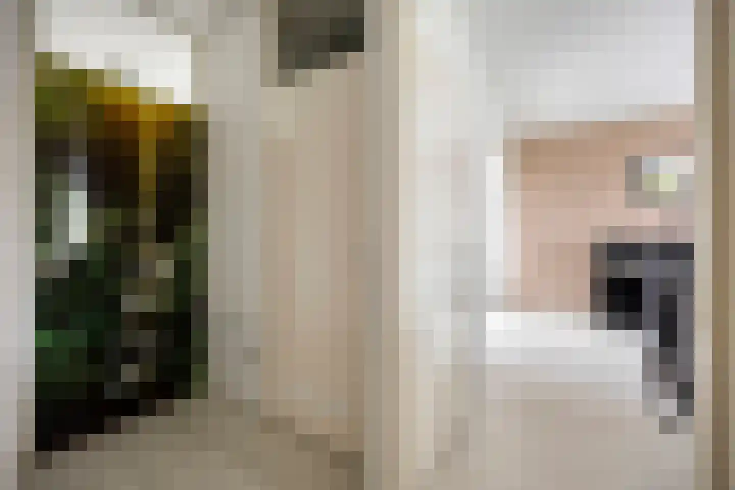Ringspoor 113 Capelle aan den IJssel thumbnail 15