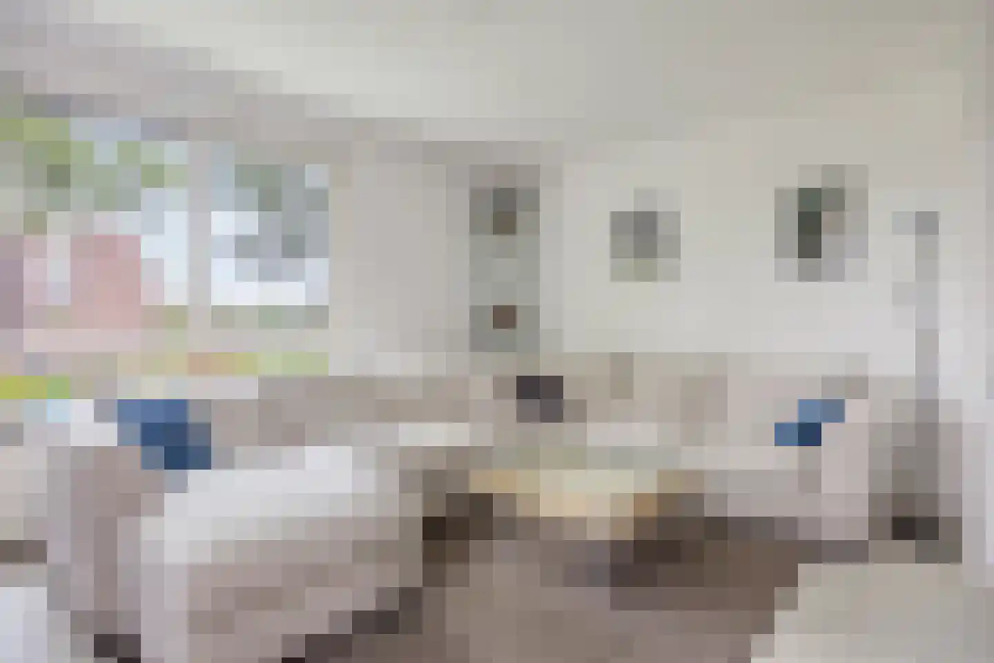 Ringspoor 113 Capelle aan den IJssel thumbnail 18
