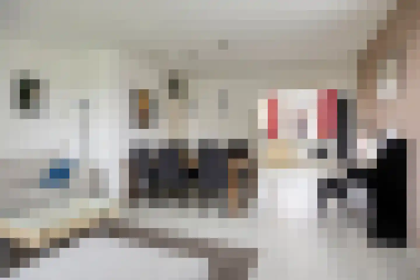 Ringspoor 113 Capelle aan den IJssel thumbnail 19