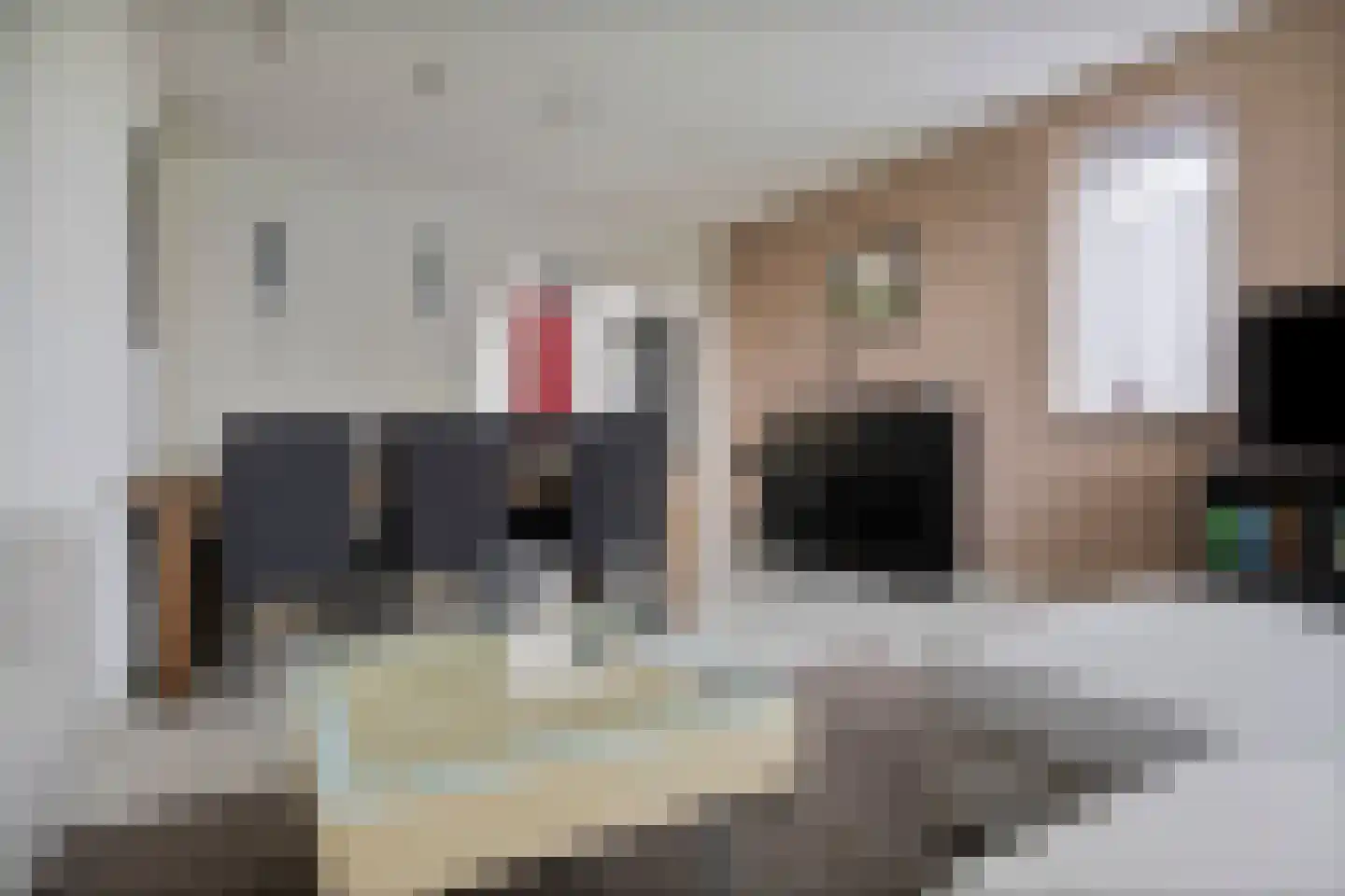 Ringspoor 113 Capelle aan den IJssel thumbnail 20