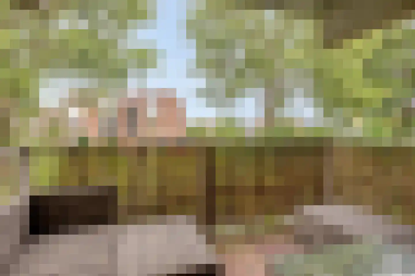 Ringspoor 113 Capelle aan den IJssel thumbnail 30