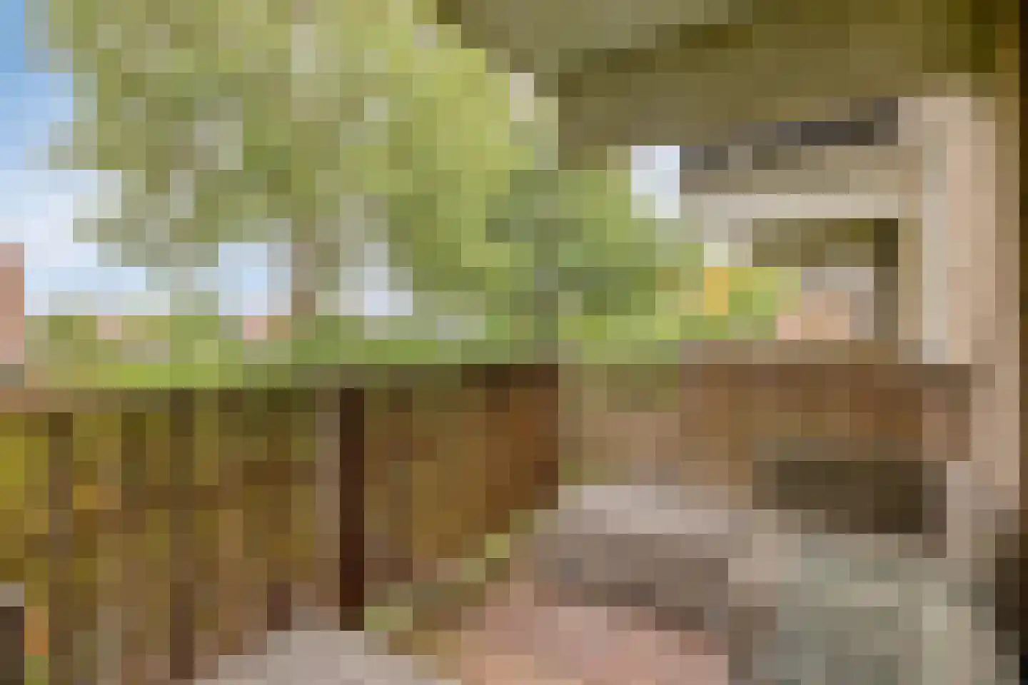 Ringspoor 113 Capelle aan den IJssel thumbnail 32