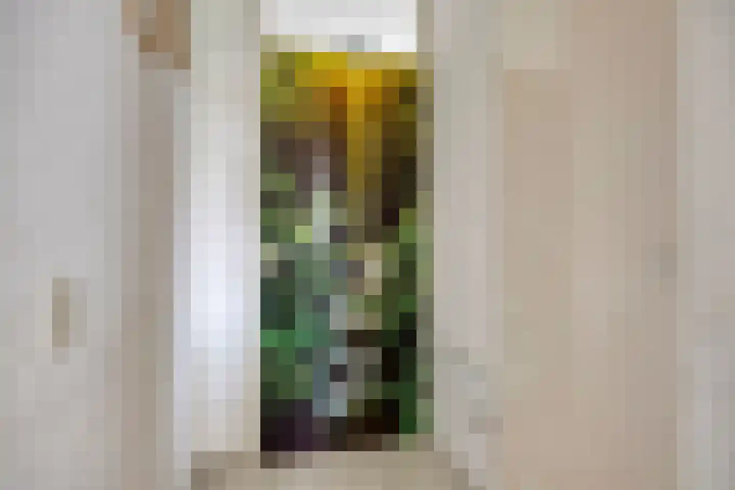 Ringspoor 113 Capelle aan den IJssel thumbnail 33