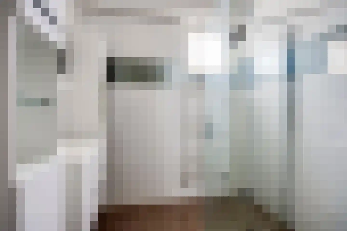 Ringspoor 113 Capelle aan den IJssel thumbnail 35