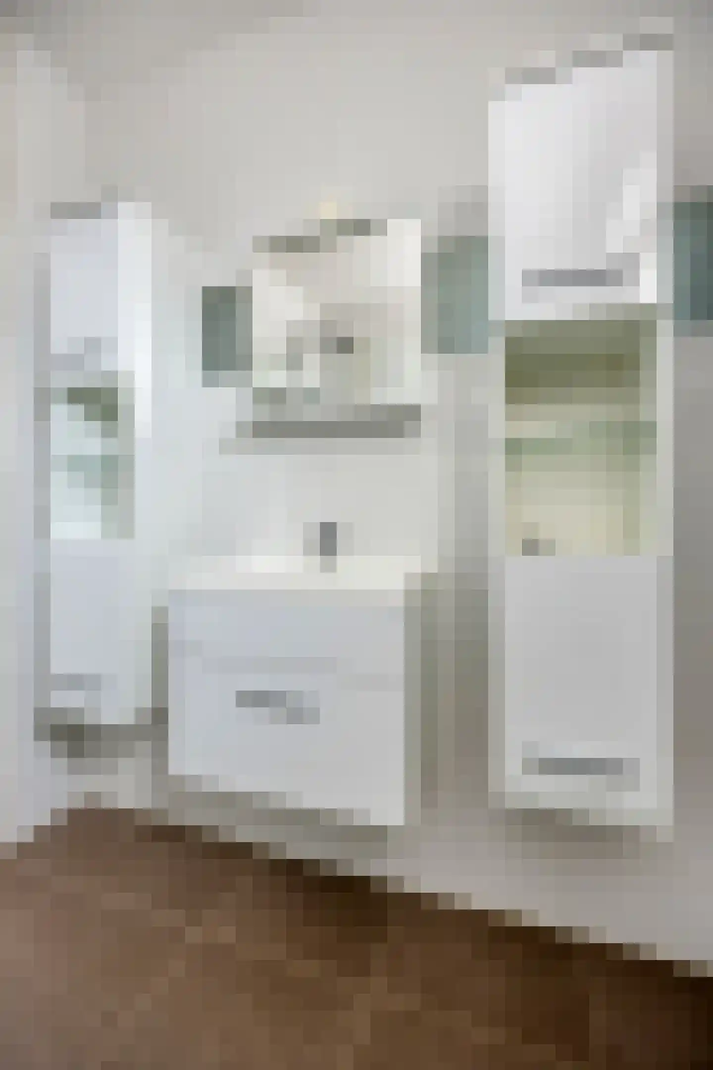Ringspoor 113 Capelle aan den IJssel thumbnail 36