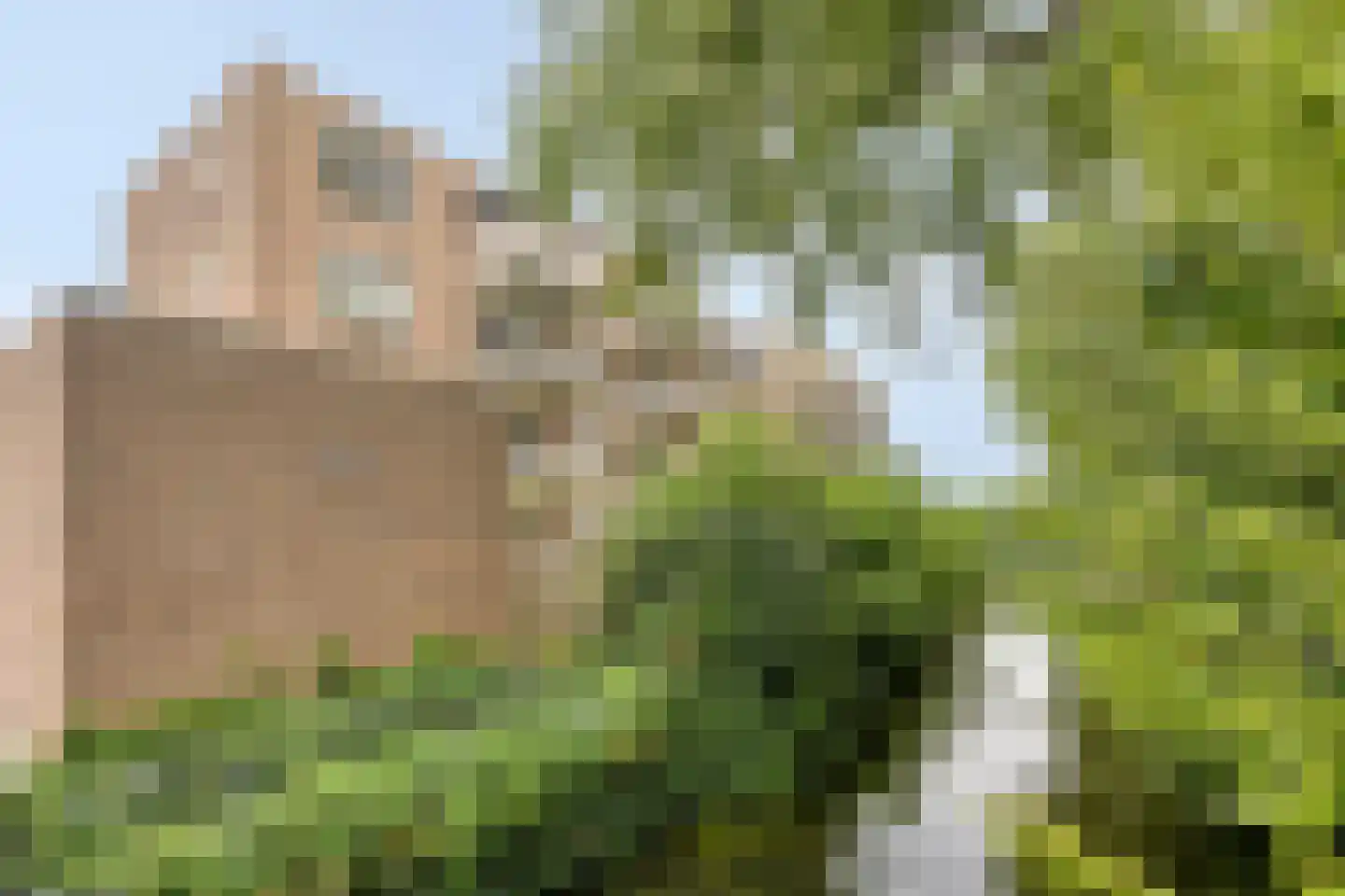 Ringspoor 113 Capelle aan den IJssel thumbnail 4