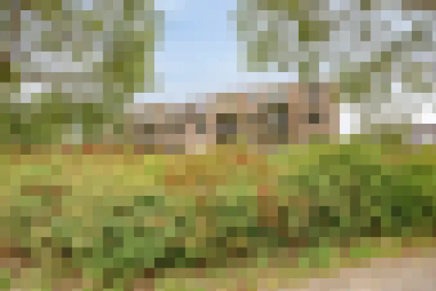 Ringspoor 113 Capelle aan den IJssel thumbnail 5