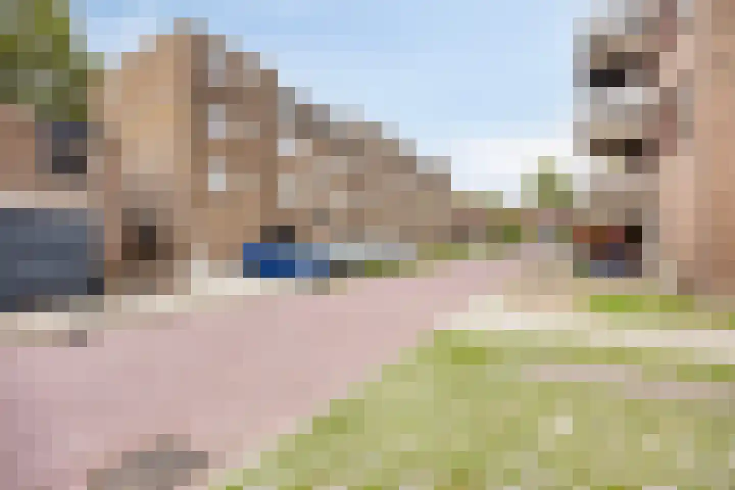Ringspoor 113 Capelle aan den IJssel thumbnail 8