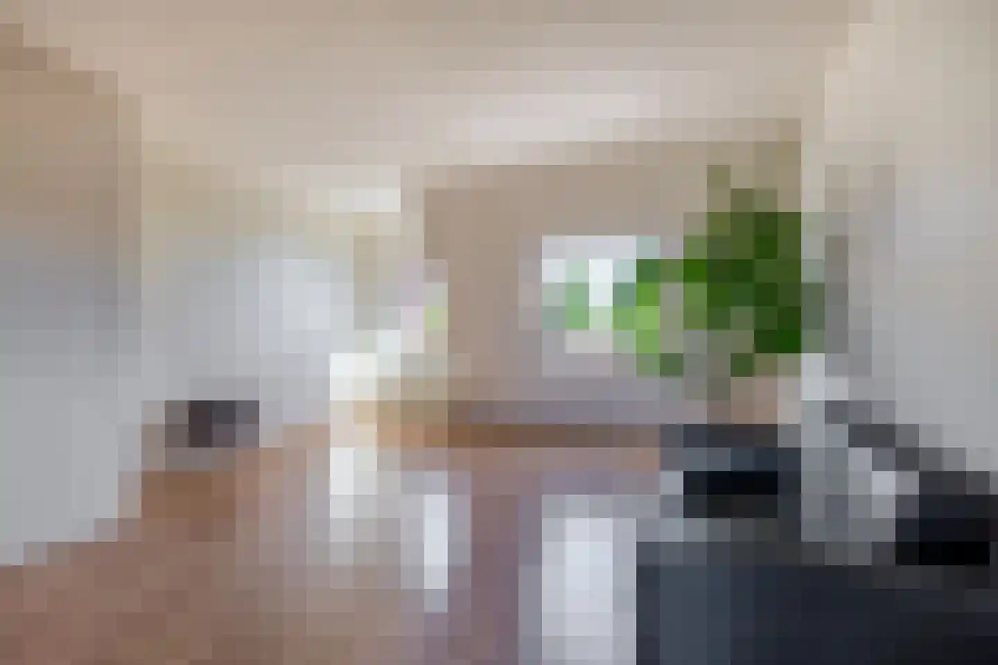 Ringspoor 128 Capelle aan den IJssel thumbnail 14