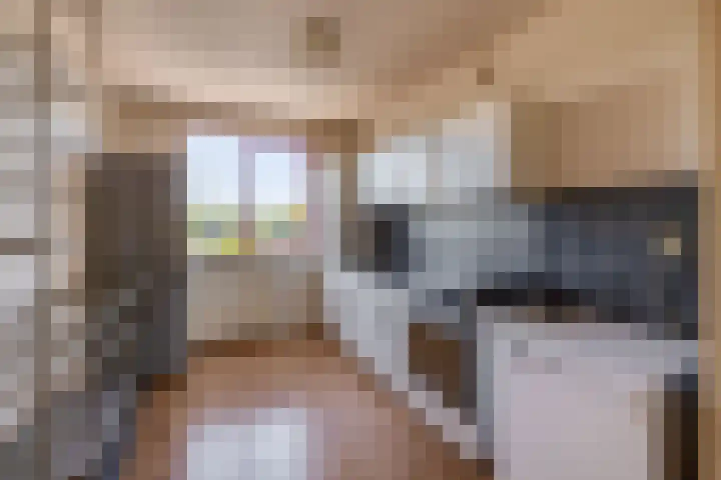 Ringspoor 128 Capelle aan den IJssel thumbnail 17
