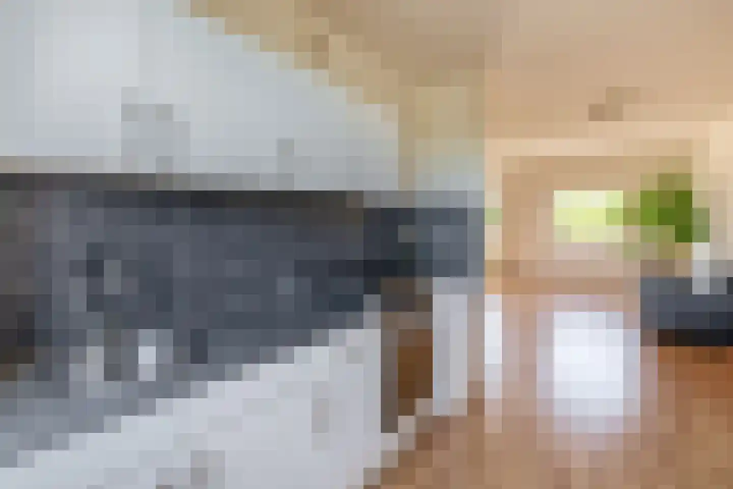 Ringspoor 128 Capelle aan den IJssel thumbnail 18