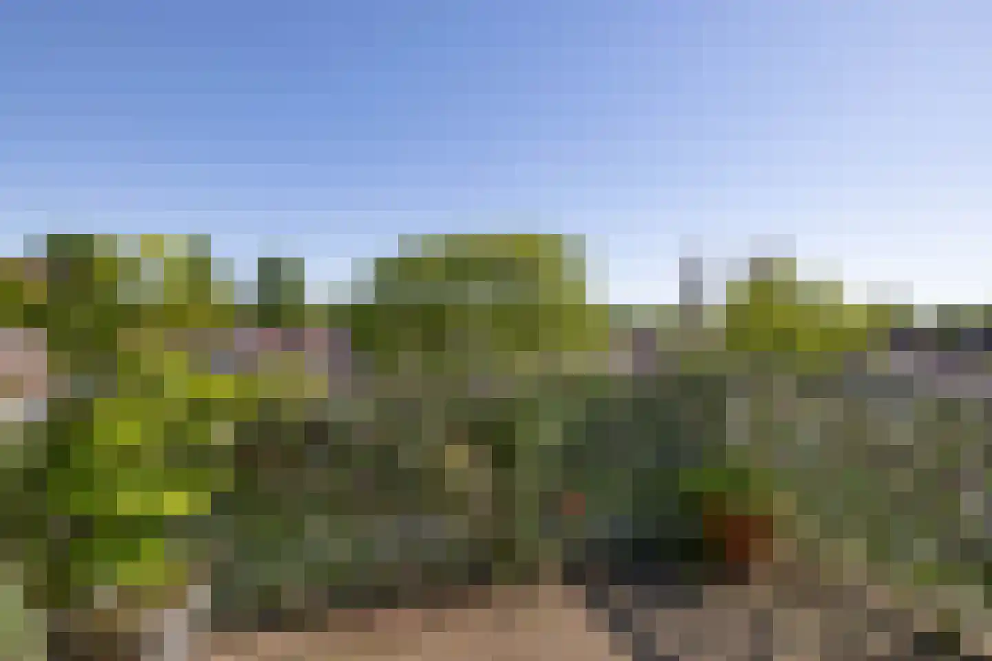 Ringspoor 128 Capelle aan den IJssel thumbnail 4