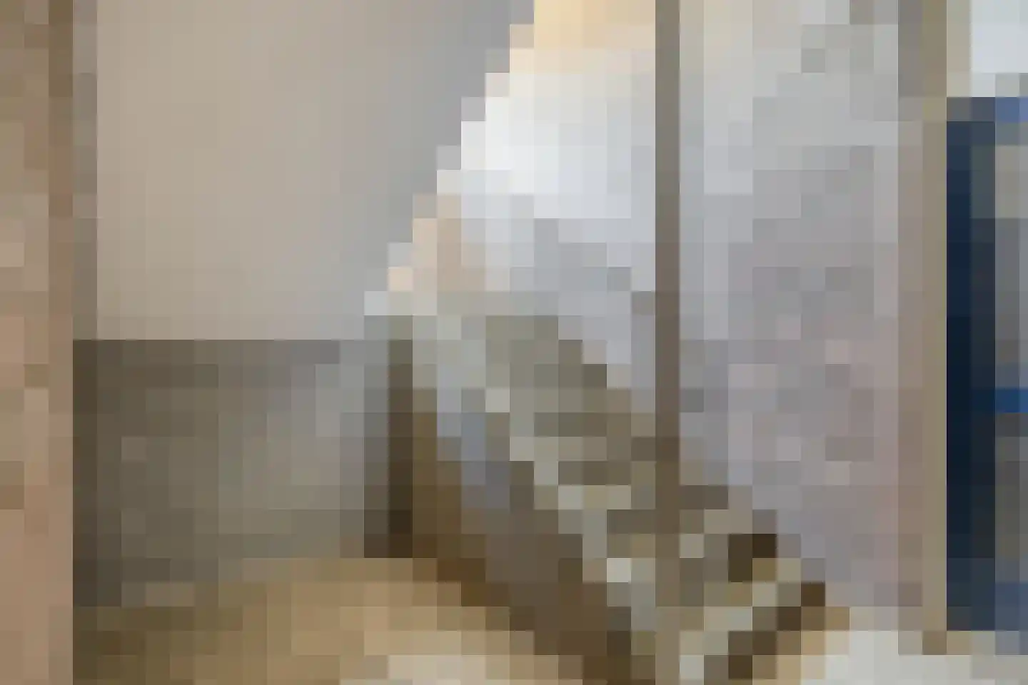 Ringspoor 128 Capelle aan den IJssel thumbnail 8