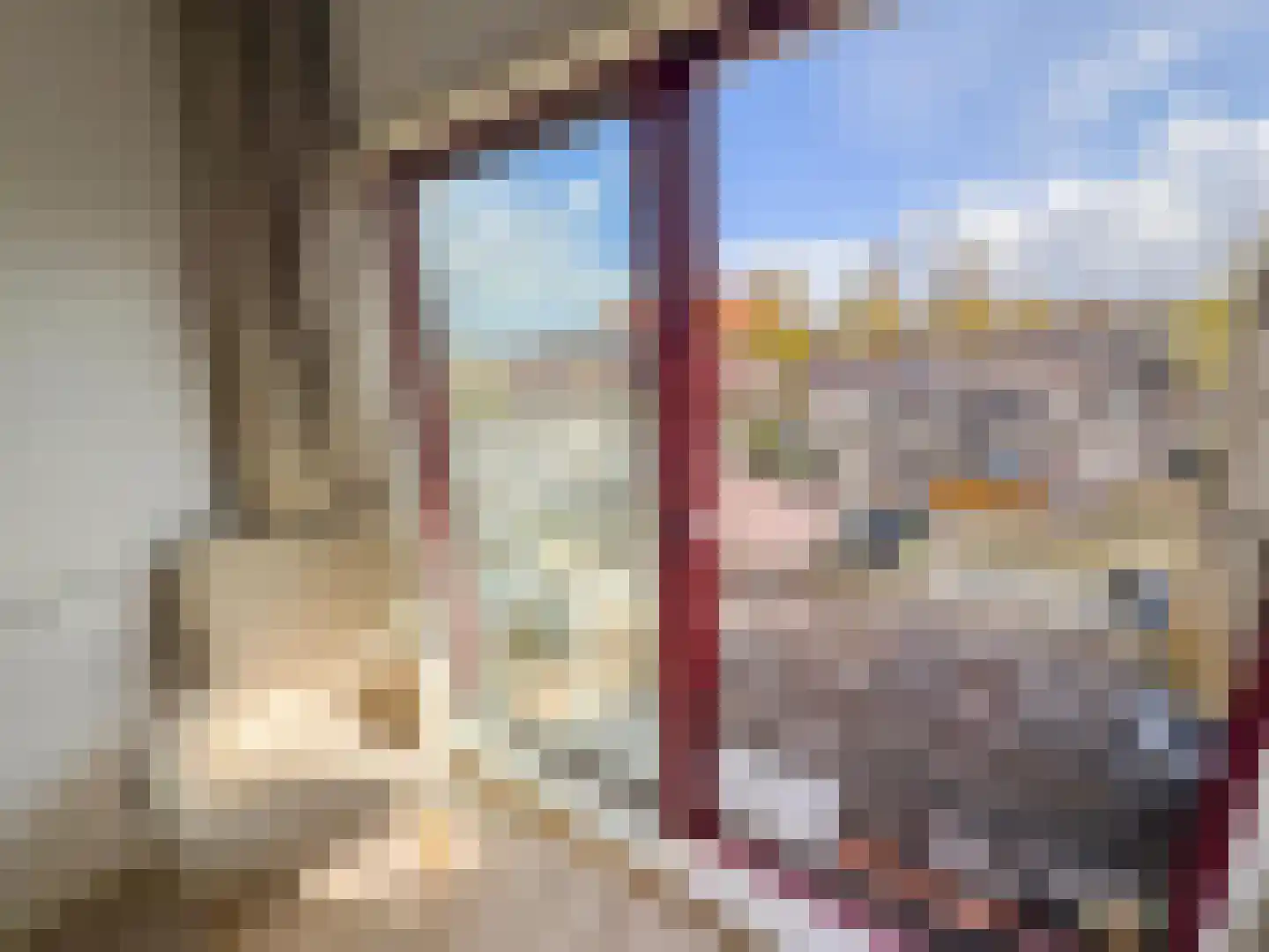 Ringspoor 130 Capelle aan den IJssel thumbnail 12