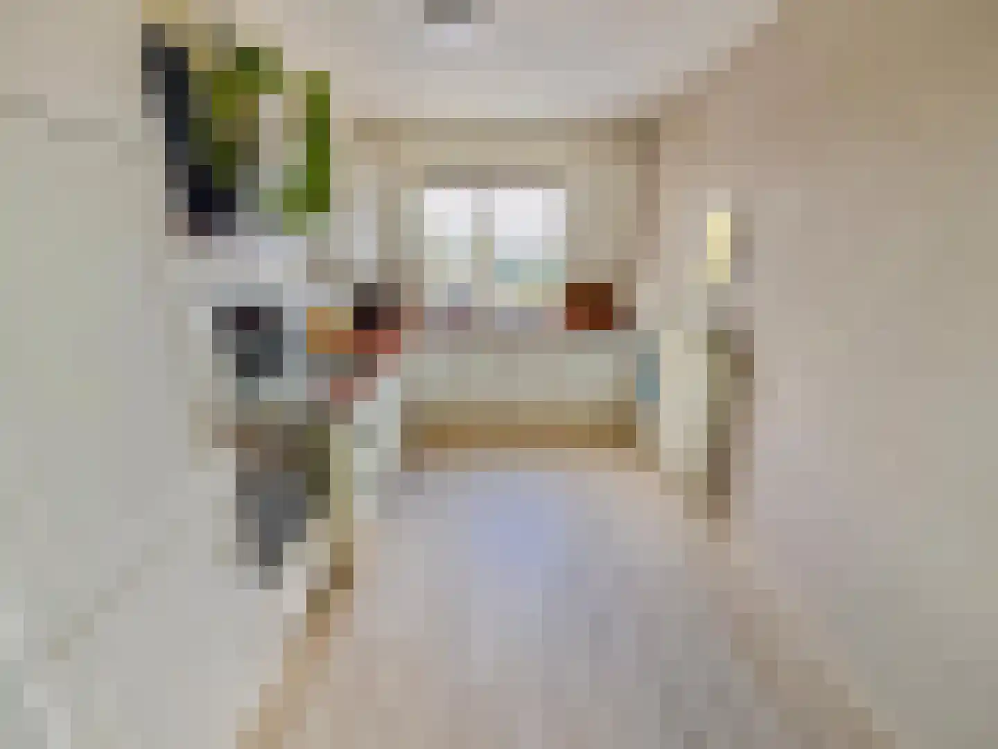 Ringspoor 130 Capelle aan den IJssel thumbnail 6