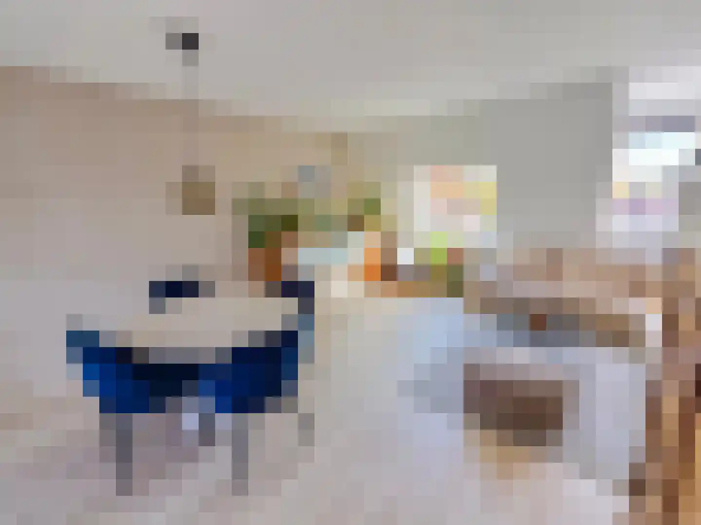 Ringspoor 130 Capelle aan den IJssel thumbnail 8