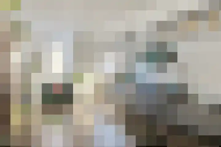 Ringspoor 142 Capelle aan den IJssel thumbnail 11