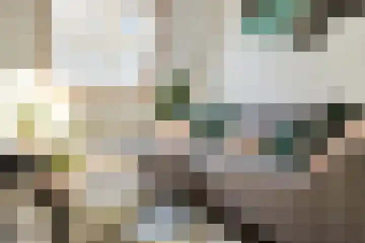 Ringspoor 142 Capelle aan den IJssel thumbnail 13