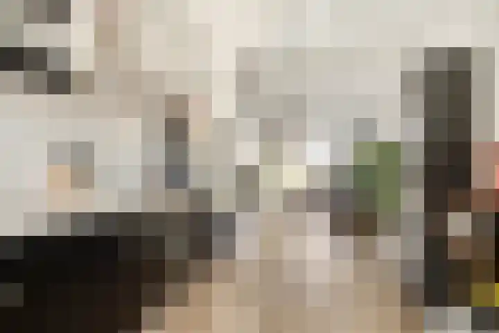 Ringspoor 142 Capelle aan den IJssel thumbnail 14
