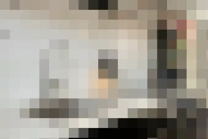 Ringspoor 142 Capelle aan den IJssel thumbnail 15