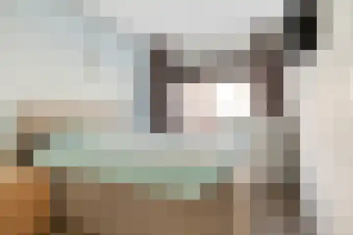 Ringspoor 142 Capelle aan den IJssel thumbnail 16