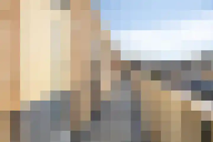 Ringspoor 142 Capelle aan den IJssel thumbnail 8
