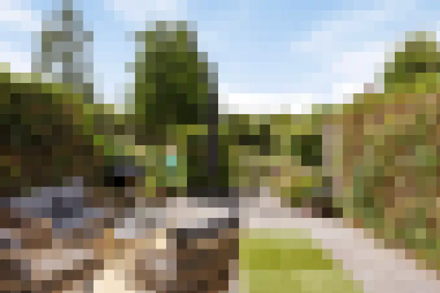 Ringspoor 193 Capelle aan den IJssel thumbnail 10
